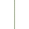 Görsel 1