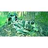 G�rsel 10