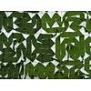 G�rsel 2
