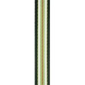 ROCA 25MMX100M PERLON BANT 32