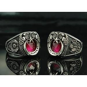 POL�S �ZEL HAREKAT ANI Y�Z���