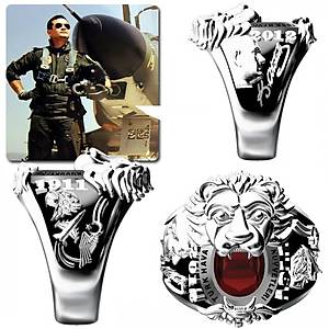 Turkish Air Forces Lion