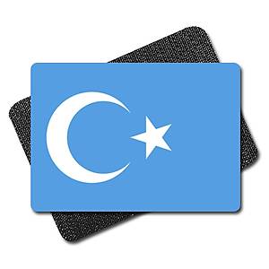 Do�u T�rkistan G�k Bayrak Tactic Metal Patch