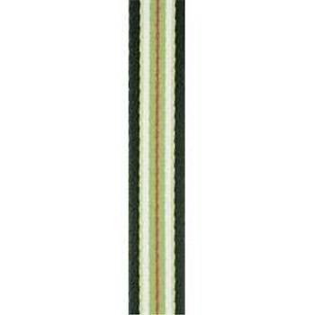 ROCA 25MMX100M PERLON BANT 32