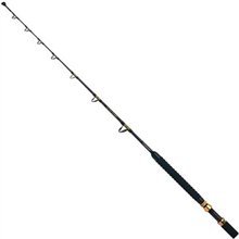 SHIMANO CATANA BX STAND UP 20-30 LBS ROLLER TIP KAMIŞ