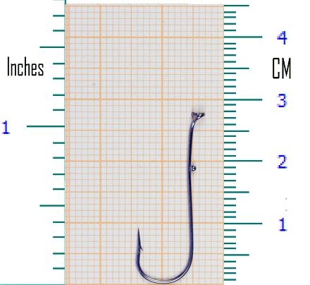 EASY-2-HOOK Perch NO:4 1/20 İĞNE 
