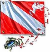 A/O FROG FLAG TİŞÖRT