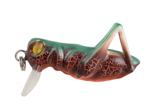 PROTACKLE 0187 ÇEKİRGE YEM 3.5 CM 3 GR RENK 00