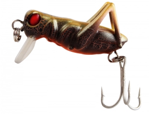 PROTACKLE 0187 ÇEKİRGE YEM 3.5 CM 3 GR RENK 03