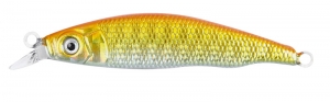 PROTACKLE M16 YÜZEN SERT YEM 5.5 CM 5 G RENK 10