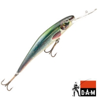 5607013 DAM FZ MAKET BALIK-ROACH DR-13 CM