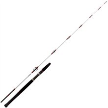 DAİWA SALTİST DEEP ACTİON 190CM 90-210GR AKSİYONLU JİG KAMIŞ