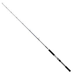 DFT JIGGER KING JIG KAMIŞI 25 LBS 180 CM 2 PARÇA