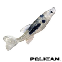 FLASH MINNOW 50MM / 23 PELICAN SİLİKON YEM