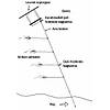G�rsel 2