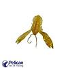 G�rsel 1