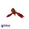 G�rsel 1