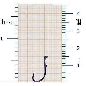 EASY-2-HOOK Carp NO:8 1/20 ��NE 
