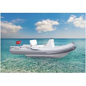 3.00 RBF LX POLYESTER TABANLI BOT
