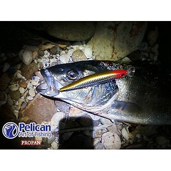 PROPAN DEGEBLR GAGALI M.BALIK 64 / 125 MM