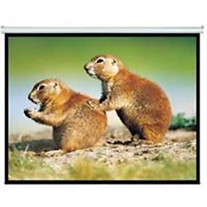 OEM 150x150 Motorlu Projeksiyon Perdesi 150x150