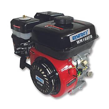 ENERGY WM168FB BENZNL TEK MOTOR