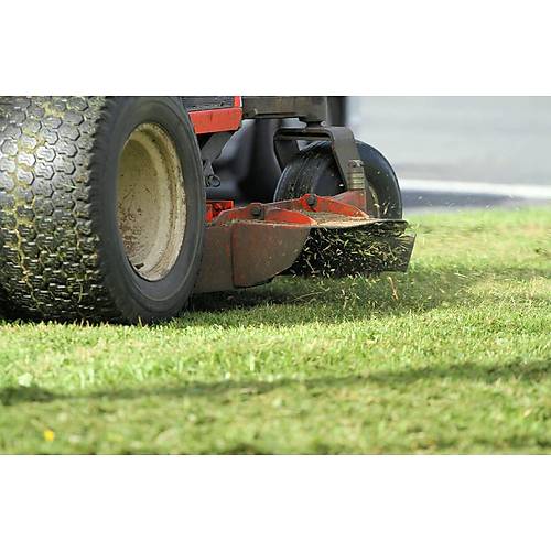 Deestone 15x6.00-6 D266 TL 4PR Çim Traktörü Golf Ve L İç Lastik Set