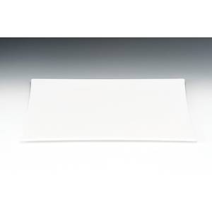 30 Cm Polycarbonat Kare Tehir Tabak