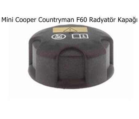 Mini Cooper Countryman F60 Radyatör Kapağı
