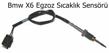 Bmw X6 Egzoz Sıcaklık Sensörü