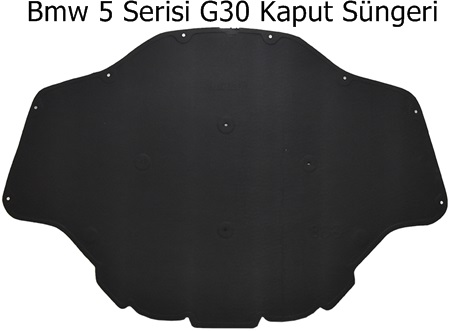 Bmw 5 Serisi G30 Kaput Süngeri