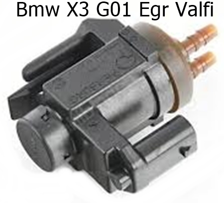 Bmw X3 G01 Egr Valfi