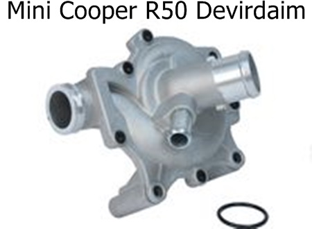 Mini Cooper R50 Devirdaim