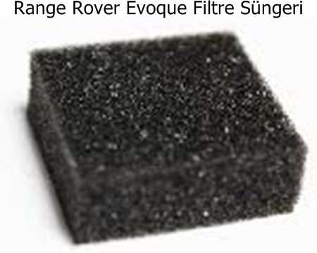 Range Rover Evoque Filtre Süngeri