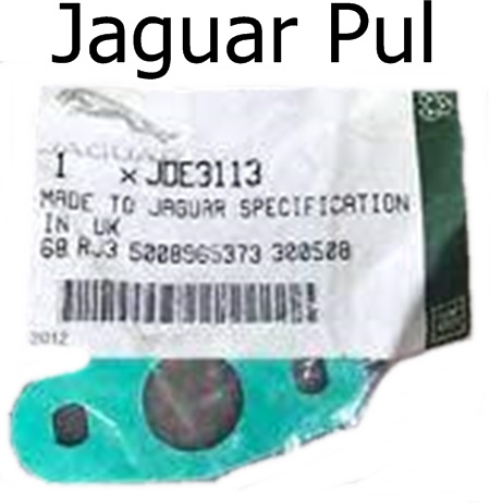 Jaguar Pul