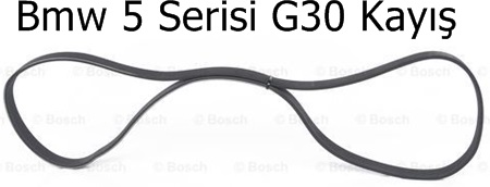 Bmw 5 Serisi G30 Kayış