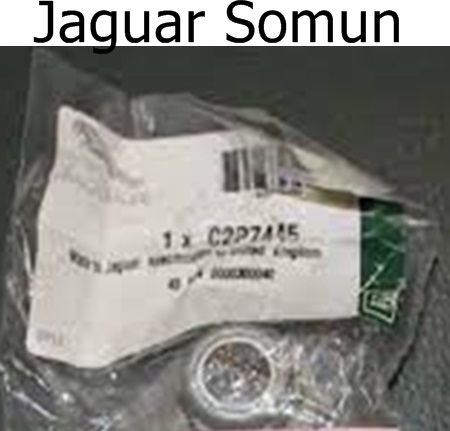 Jaguar Somun