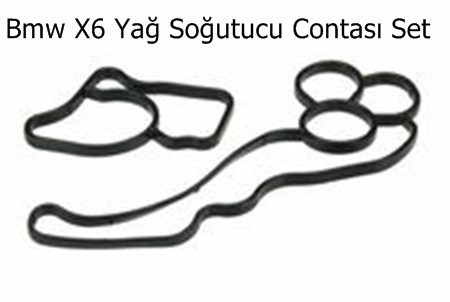 Bmw X6 Yağ Soğutucu Contası Set