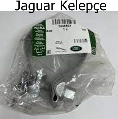 Jaguar Kelepçe
