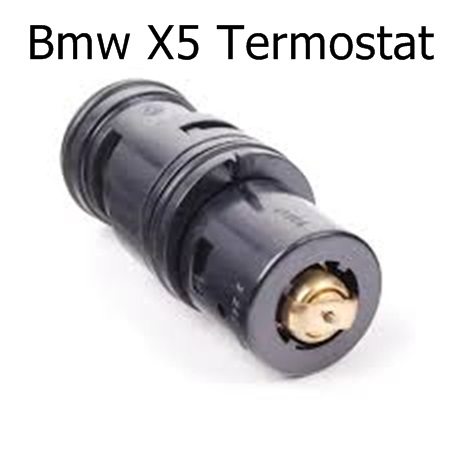 Bmw X5 Termostat