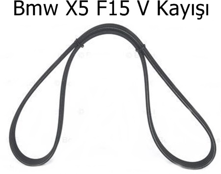 Bmw X5 F15 V Kayışı