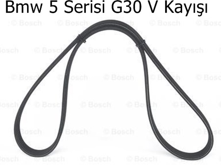 Bmw 5 Serisi G30 V Kayışı