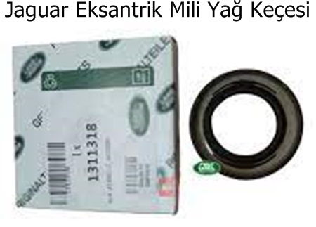 Jaguar Eksantrik Mil Keçesi