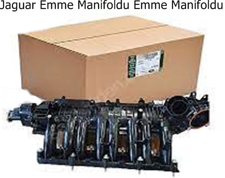 Jaguar Emme Manifoldu Emme Manifoldu