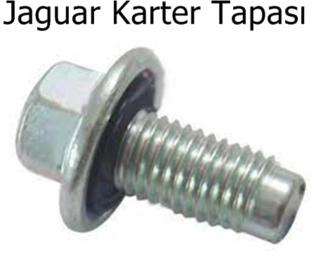 Jaguar Karter Tapası