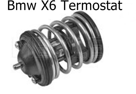Bmw X6 Termostat