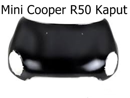 Mini Cooper R50 Kaput