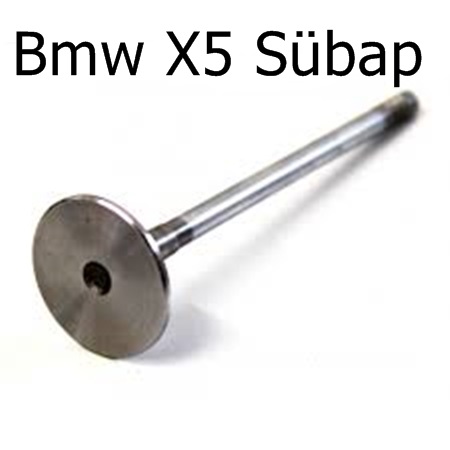 Bmw X5 Sübap