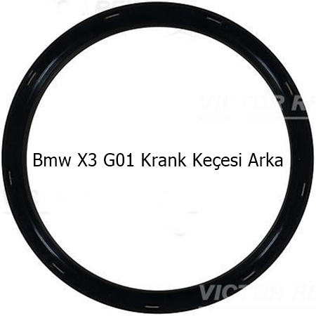 Bmw X3 G01 Krank Keçesi Arka