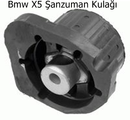 Bmw X5 Şanzuman Kulağı